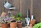 Gardening arrangement with garden equipment and hyacinth potted