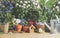 Gardening background with birdhouse, gardening utensils, potted flowers , plants and watering can. Front view