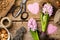 Gardening Background with Flower and Bulbs on Wooden Table