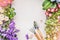 Gardening background with various garden flowers and tools on gray concrete, top view.