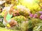 Gardening. Blonde young woman planting flowers in garden