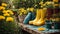 Gardening boots, flower pots the garden summer gardening outdoors cultivate equipment