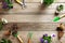 Gardening border composition with various flowers plant and garden tools on wooden background, flat lay, top view, copy space for