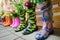 Gardening. Colourful rubber boots with bouquets of flowers in them stand in a row. Garden decor. Rain boots with flowers in a row.