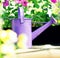 Gardening concept background .Watering flowers in balcony.