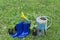 Gardening concept. Rubber Garden spatula, rake, gumboots, watering pot and young bush for seeding.