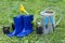 Gardening concept. Rubber Garden spatula, rake, gumboots, watering pot and young bush for seeding.