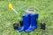 Gardening concept. Rubber Garden spatula, rake, gumboots, watering pot and young bush for seeding.