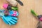 Gardening concept. Seedling hyacinth, garden tools, scissors, twine, shopping paper bag, tubers-bulbs gladiolus. Seasonal gardenin