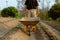 Gardening concept a young male farmer shoving a gardening cart among vegetable plots in his small peaceful garden