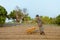 Gardening concept a young male farmer shoving a gardening cart among vegetable plots in his small peaceful garden