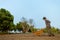 Gardening concept a young male farmer shoving a gardening cart among vegetable plots in his small peaceful garden