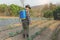 Gardening concept a young male farmer spraying a chemical pesticide for preventing the crops from the pests