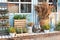 Gardening. Cozy decor veranda at house. Facade blue house Rustic style. Green plants, dried spikelets, flowers and pampas grass in