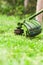 Gardening. Cutting the lawn with cordless grass trimmer, edger