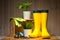 gardening, farming and planting concept - garden tools, flower seedlings and rubber boots