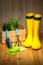 gardening, farming and planting concept - garden tools, flower seedlings and rubber boots on wooden
