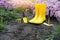 Gardening. Garden tools and rain boots standing on the backyard