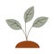 gardening growth plant icon on white background