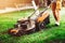 Gardening, industrial gardener using lawnmower and cutting grass in backyard