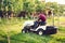 Gardening, industrial gardner working with ride-on lawnmower and cutting grass in garden