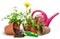 gardening isolated pictures