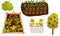 Gardening isolated element set. Vegetable bed, sunflowers in pot, bush, apple tree watercolor illustration.