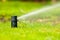 Gardening. Lawn sprinkler spraying water over grass.