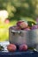 Gardening. organic plums garden. Harvest. Young farmer harvesting plum. plum in a vintage bowl