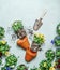 Gardening setting with terra cotta plant pots,  shovel and flowers with soil and roots on light blue background with potted