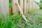 Gardening shovel in an orchard during the gardener`s rest