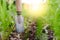 Gardening shovel in an orchard during the gardener`s rest