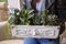 Gardening space. Potted plants outdoors.