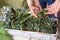 Gardening space. Potted plants outdoors.