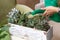 Gardening space. Potted plants outdoors.