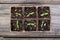 Gardening square organic planting pots with tomato plant sprout