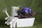 Gardening still-life with violet viola
