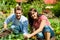 Gardening in summer - couple harvesting