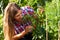 Gardening in summer - woman harvesting tomatoes