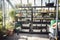 gardening supplies and tools neatly organized in contemporary greenhouse