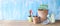 Gardening tool, springtime gardening, young plant,flower pots, panoramic  copy space