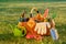 Gardening tools in basket and watering can on grass. Freshly harvested tomatoes, organic food concept.