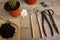 Gardening tools and bonsai care at home