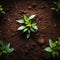 Gardening tools on fertile soil texture background seen from above, top view Gardening or planting