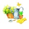 Gardening tools and flowers: basket with flowers, watering, gloves