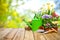 Gardening tools and flowers on the terrace