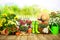 Gardening tools and flowers on the terrace i