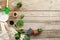 Gardening tools and flowers on vintage wooden desk. Gardening or planting concept. Working in the spring garden. Flat lay, top