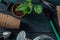 Gardening tools, overhead flat lay shot on a dark wooden background