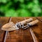 Gardening tools, rake and scoop on wooden table